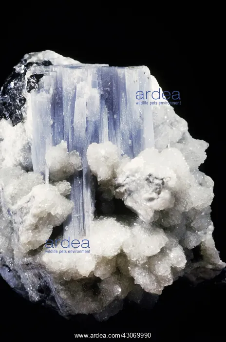  : Anhydrite from Naica, Mexico