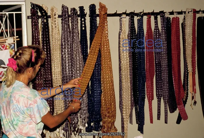 : Animal Exploitation - Crocodile skin goods on sale : Animal Exploitation - Crocodile skin goods on sale