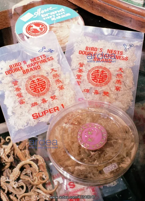 : Animal Exploitation - dried bird's nest soup, on : Animal Exploitation - dried bird's nest soup, on