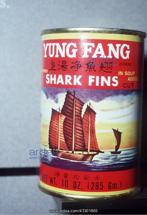 : Animal Exploitation - Shark fin soup : Animal Exploitation - Shark fin soup