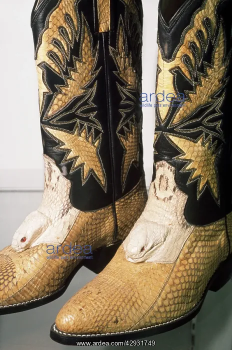 : Animal Exploitation - snakeskin boots confiscated : Animal Exploitation - snakeskin boots confiscated