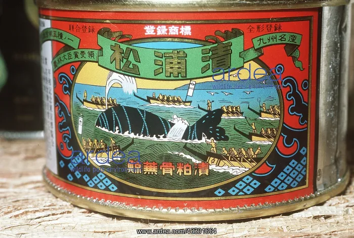  : ANIMAL EXPLOITATION - Tinned Whale Meat