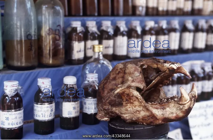 : ANIMAL EXPLOTATION - Parts for sale, medicines and : ANIMAL EXPLOTATION - Parts for sale, medicines and