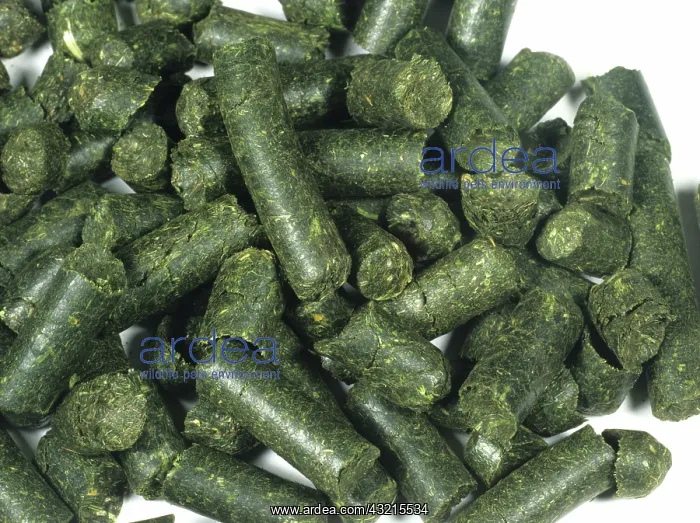 : Animal Feed : Animal Feed