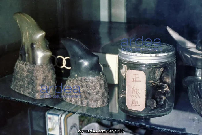 : Animal materials on sale in Singapore as items of : Animal materials on sale in Singapore as items of