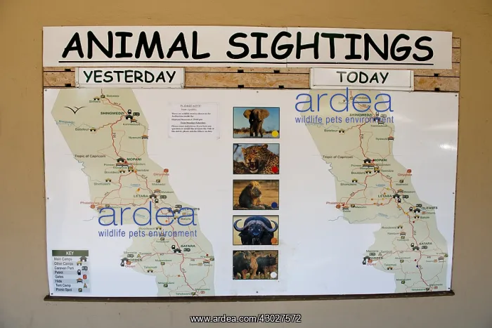 : Animal Sightings board - showing big 5 at restcamp : Animal Sightings board - showing big 5 at restcamp