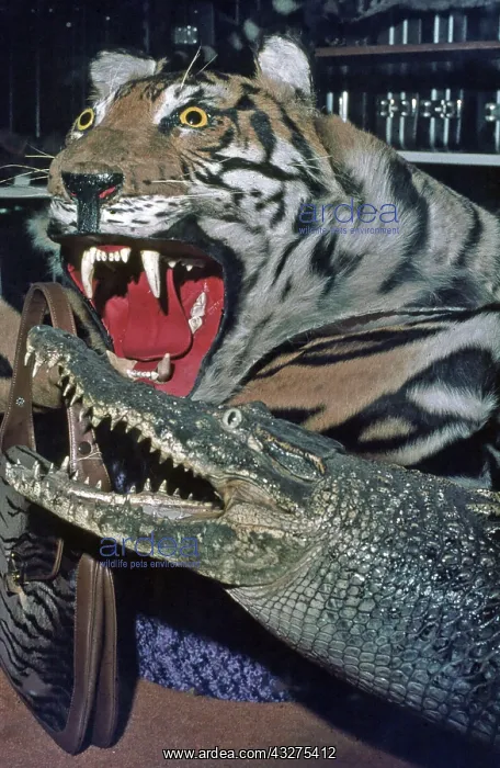 : Animals materials on sale in Singapore in 1976 : Animals materials on sale in Singapore in 1976
