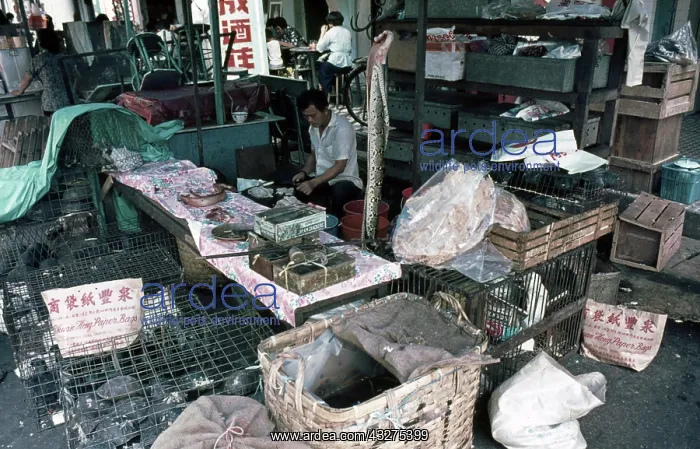 : Animals materials on sale wet market in Singapore : Animals materials on sale wet market in Singapore