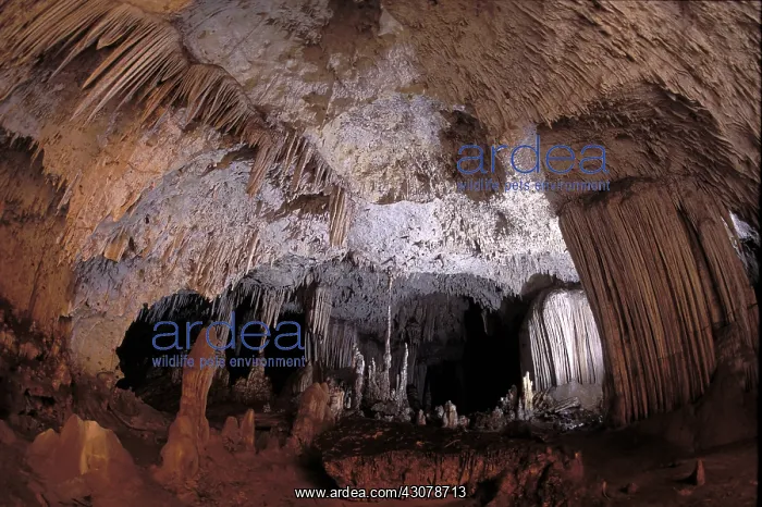 : Anjohibe Cave, Madagascar : Anjohibe Cave, Madagascar