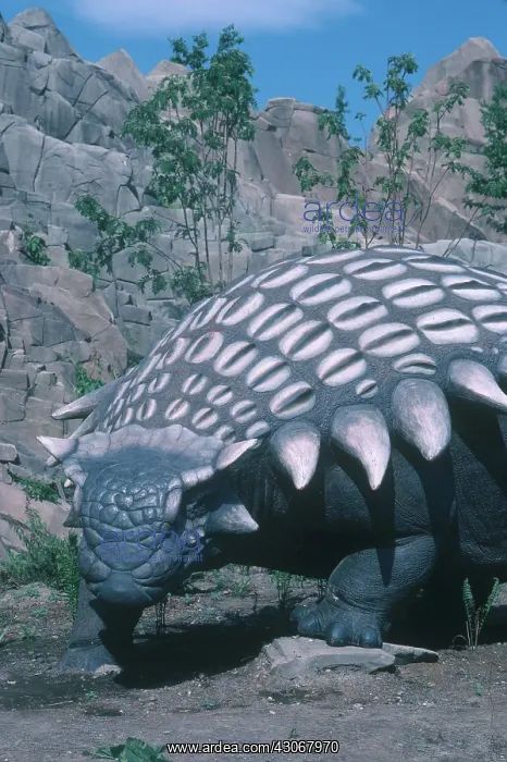 : Ankylosaurus : Ankylosaurus