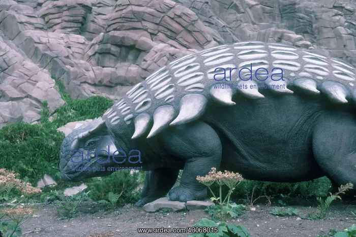  : Ankylosaurus