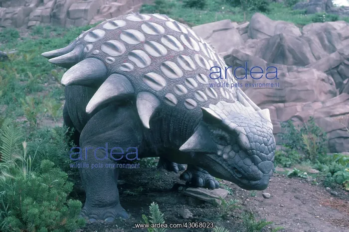 : Ankylosaurus : Ankylosaurus