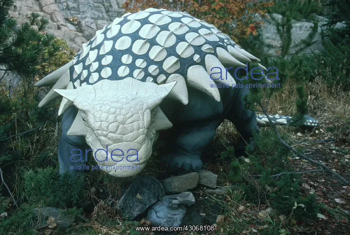 : Ankylosaurus : Ankylosaurus