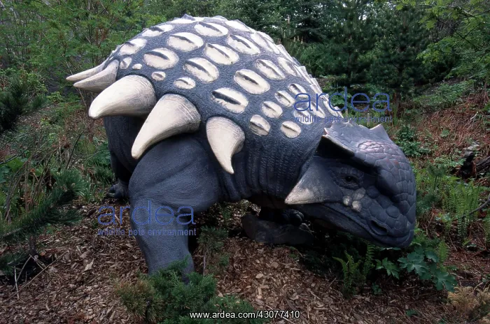 : Ankylosaurus : Ankylosaurus