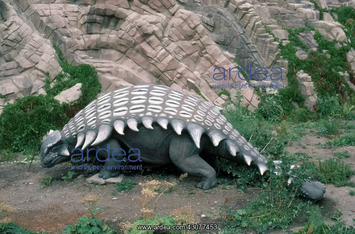 : Ankylosaurus : Ankylosaurus