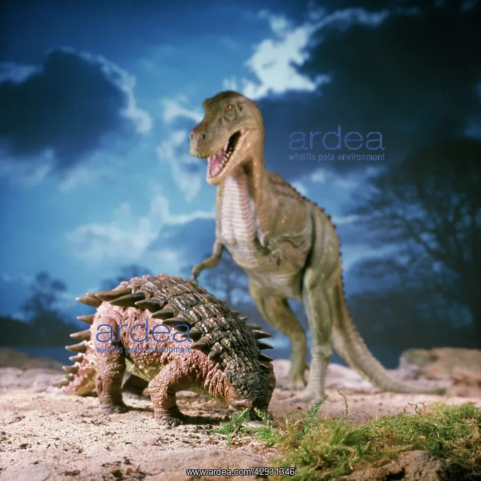 : Ankylosaurus - with Tyrannosaurus in the background : Ankylosaurus - with Tyrannosaurus in the background