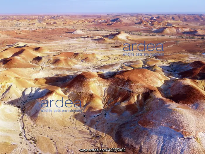 : Anna Creek Painted Hills : Anna Creek Painted Hills