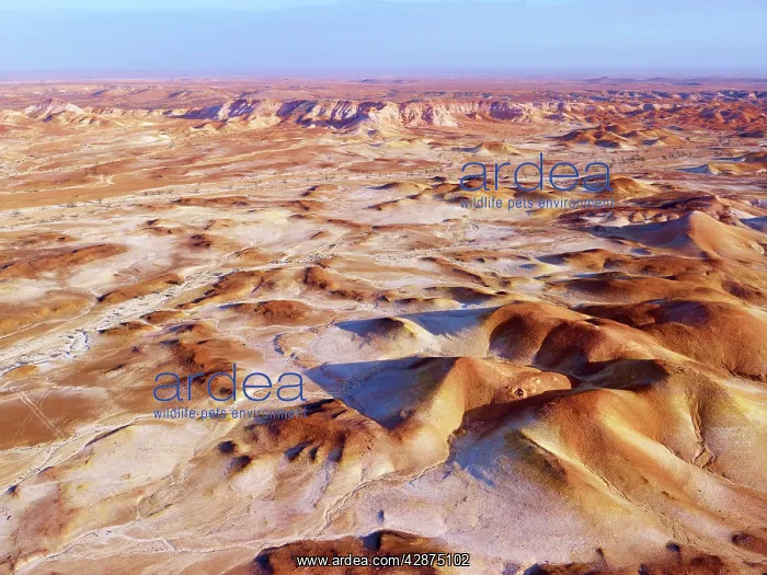  : Anna Creek Painted Hills