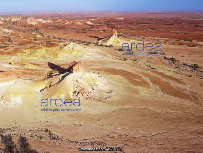 : Anna Creek Painted Hills : Anna Creek Painted Hills
