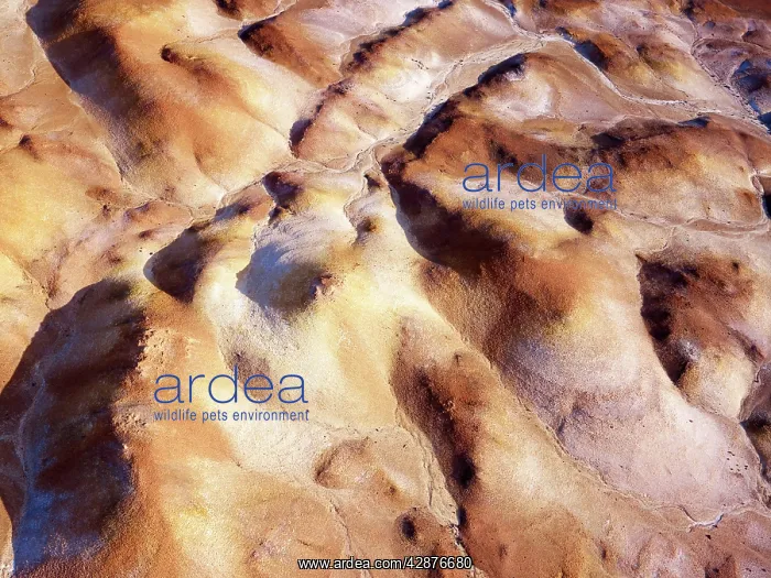  : Anna Creek Painted Hills
