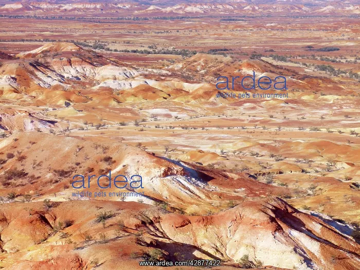 : Anna Creek Painted Hills : Anna Creek Painted Hills