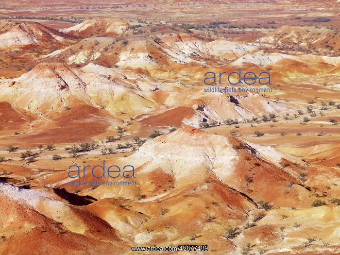 : Anna Creek Painted Hills : Anna Creek Painted Hills