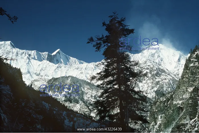  : ANNAPURNA Mountains