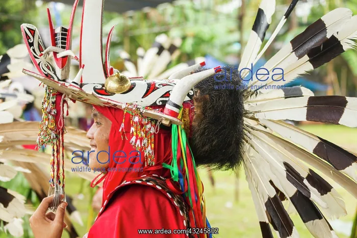 : Anniversary of Mahakam Hulu DistrictWWF-Indonesia : Anniversary of Mahakam Hulu DistrictWWF-Indonesia