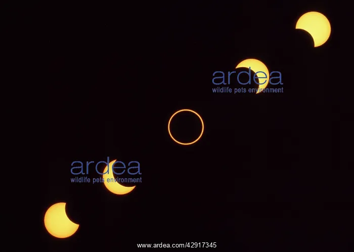: Annular Eclipse - 10th May 1994 : Annular Eclipse - 10th May 1994