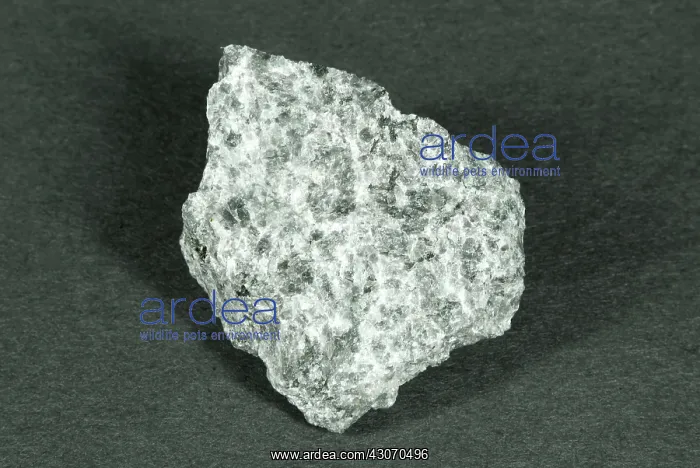 : Anorthosite, an intrusive igneous rock : Anorthosite, an intrusive igneous rock