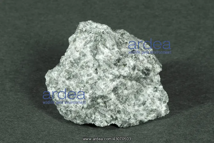 : Anorthosite, an intrusive igneous rock : Anorthosite, an intrusive igneous rock
