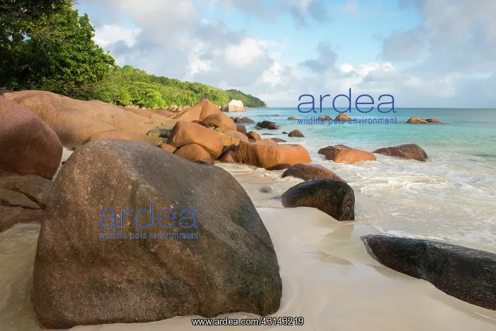: Anse Lazio beach at dawn, Seychelles, Praslin : Anse Lazio beach at dawn, Seychelles, Praslin