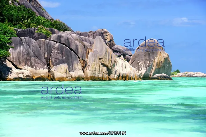 : Anse Reunion beach, granite rocks, La Digue Island : Anse Reunion beach, granite rocks, La Digue Island