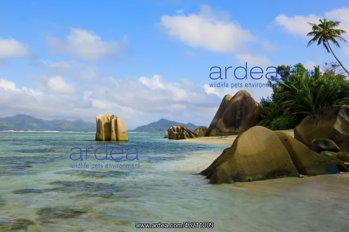: Anse-Source D'Argent : Anse-Source D'Argent