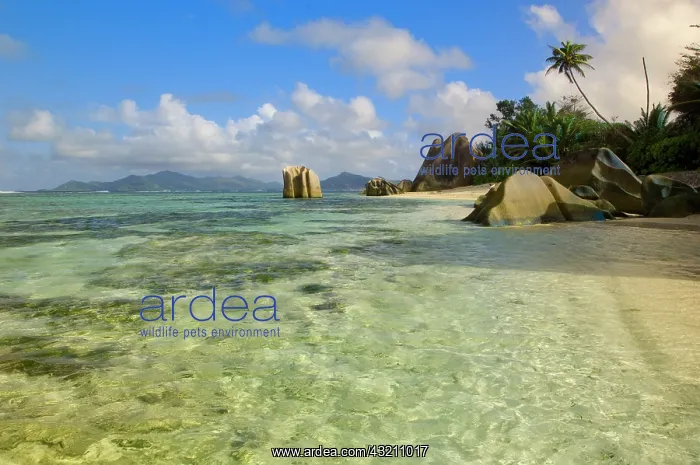 : Anse-Source D'Argent : Anse-Source D'Argent