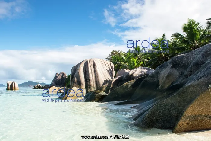 : Anse Source d'Argent beach at dawn : Anse Source d'Argent beach at dawn