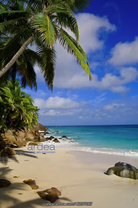 : Anse Victorin Beach : Anse Victorin Beach