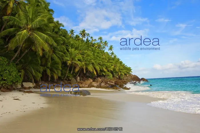  : Anse Victorin Beach