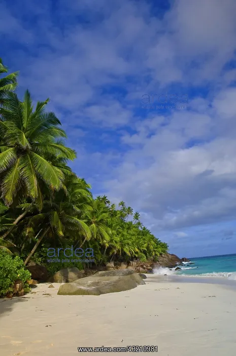 : Anse Victorin Beach : Anse Victorin Beach