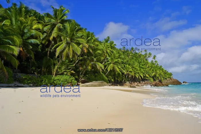 : Anse Victorin Beach : Anse Victorin Beach