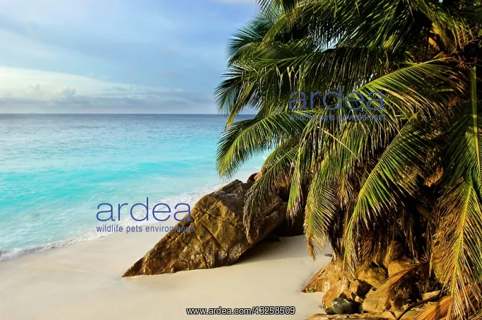 : Ansi Victorin Beach : Ansi Victorin Beach