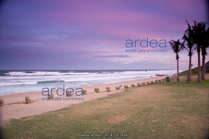 : Ansteys Beach, Durban, South Africa. Beaches : Ansteys Beach, Durban, South Africa. Beaches