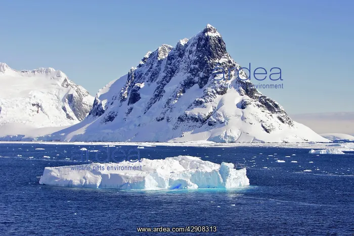 : Antarctic. Neumayer Channel Antarctic Peninsula : Antarctic. Neumayer Channel Antarctic Peninsula