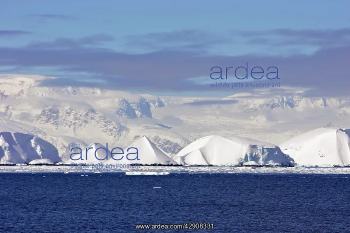 : Antarctic. Gerlache Strait Antarctic Peninsula : Antarctic. Gerlache Strait Antarctic Peninsula