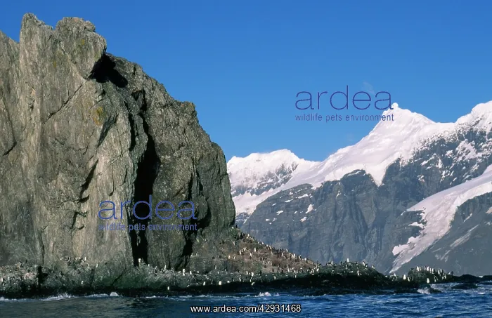  : Antarctic. Pinnacle Point off Cape Wild, Elephant Islands