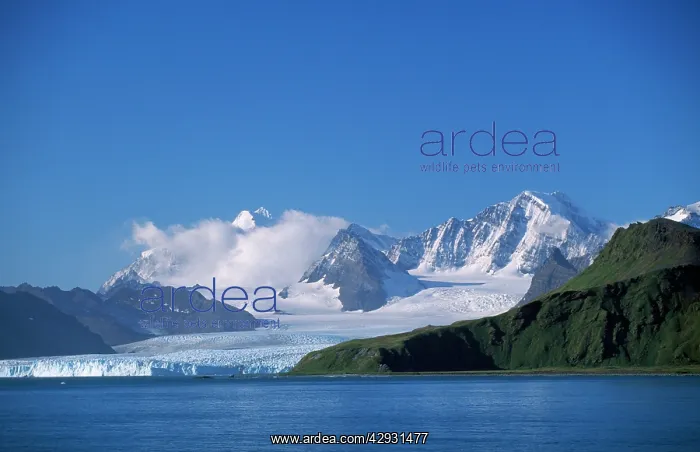  : Antarctic. Elephant Island, South Shetland Islands