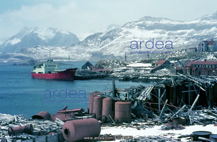  : Antarctic - abandoned whaling station