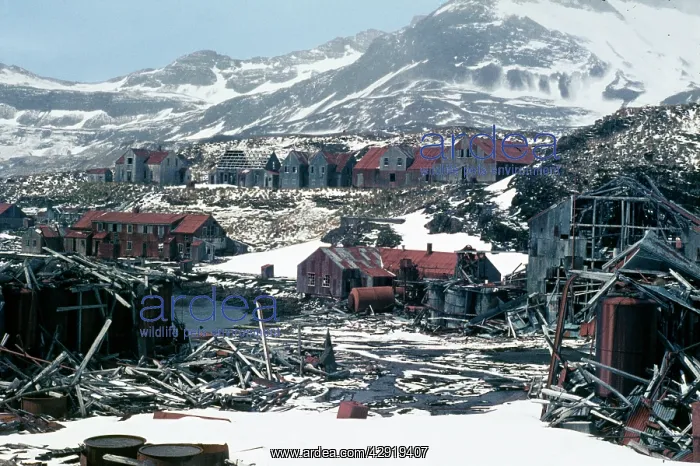 : Antarctic - abandoned whaling station : Antarctic - abandoned whaling station