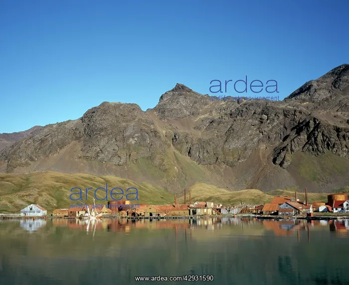  : ANTARCTIC, - Abandoned Whaling station