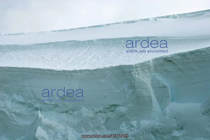 : Antarctic Glacier : Antarctic Glacier